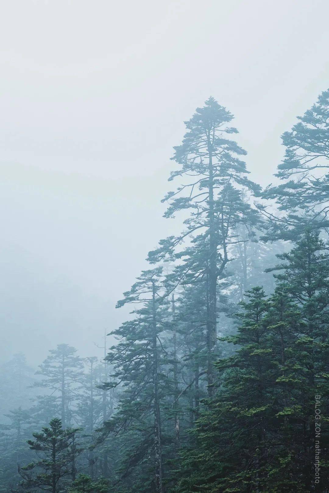 春节订单旺 生产格外忙